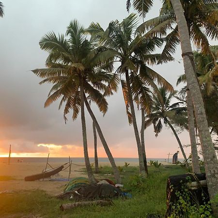 Shoreline Marari Beach Villa At Golden Beach Mararikulam Alappuzha Exteriör bild